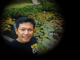 andry anthoni