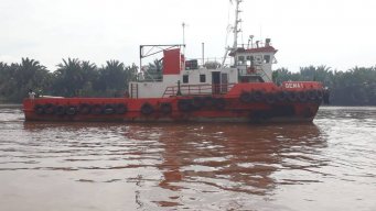 Remon Munardi